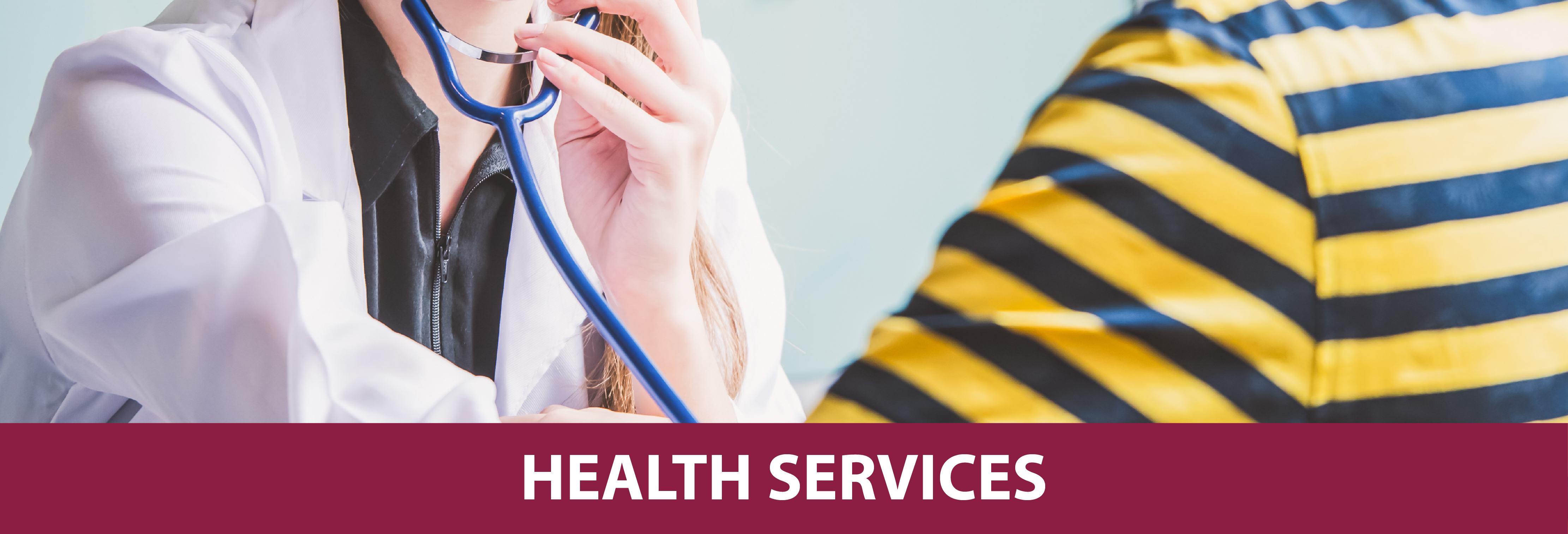 Health Services header