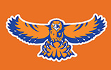 Hoffman Estates High School Hawks logo